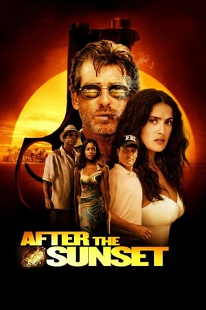 After The Sunset (2004) Dual Audio | Dubbed Hindi Movie BluRay 320MB