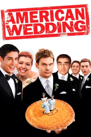 American Wedding (2003) Dual Audio | Dubbed Hindi Movie BluRay [850MB]