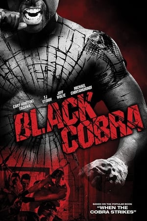 Black Cobra (2012) Dual Audio | Dubbed Hindi Movie BluRay [830MB]