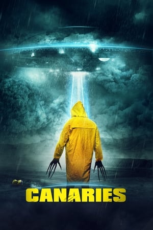 Canaries (2017) Dual Audio | Dubbed Hindi Movie WebRip 300MB