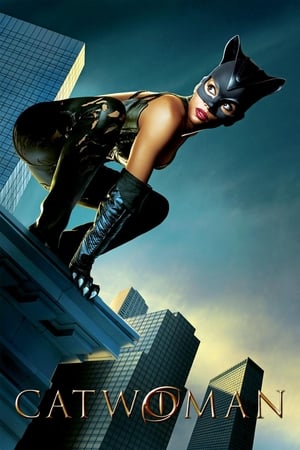 Catwoman (2004) Dual Audio | Dubbed Hindi Movie BDRip [930MB]
