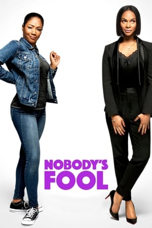 Nobody's Fool (2018) Dual Audio | Dubbed Hindi Movie BluRay 360MB