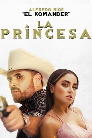 Prince 2022 (HQ Dubbed) Movie Pre-DVDRip | Dubbed Hindi Movie – 480p