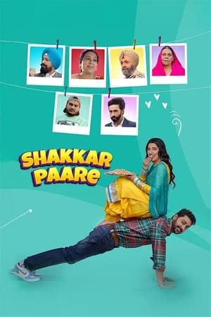 Shakkar Paare 2022 Punjabi Movie Pre-DVDRip | Dubbed Hindi Movie – 480p
