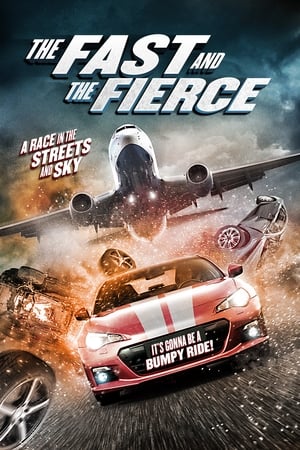 The Fast and the Fierce 2017 Dual Audio | Dubbed Hindi Movie BluRay 300MB