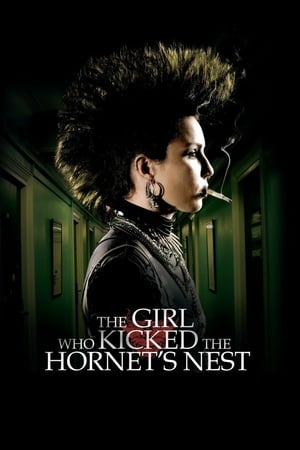 The Girl Who Kicked the Hornet's Nest (2009) Dual Audio | Dubbed Hindi Movie BluRay 450MB