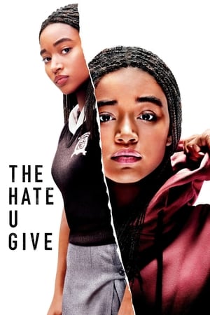 The Hate U Give (2018) Dual Audio | Dubbed Hindi Movie BluRay 450MB