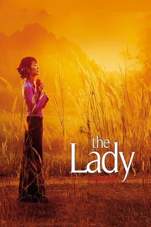 The Lady 2011 Dual Audio | Dubbed Hindi Movie Bluray 400MB
