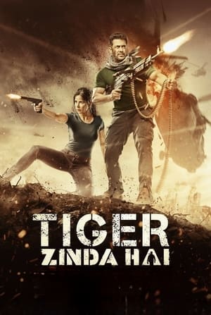 Tiger Zinda Hai 2017 490MB Movie | Dubbed Hindi Movie BluRay Download
